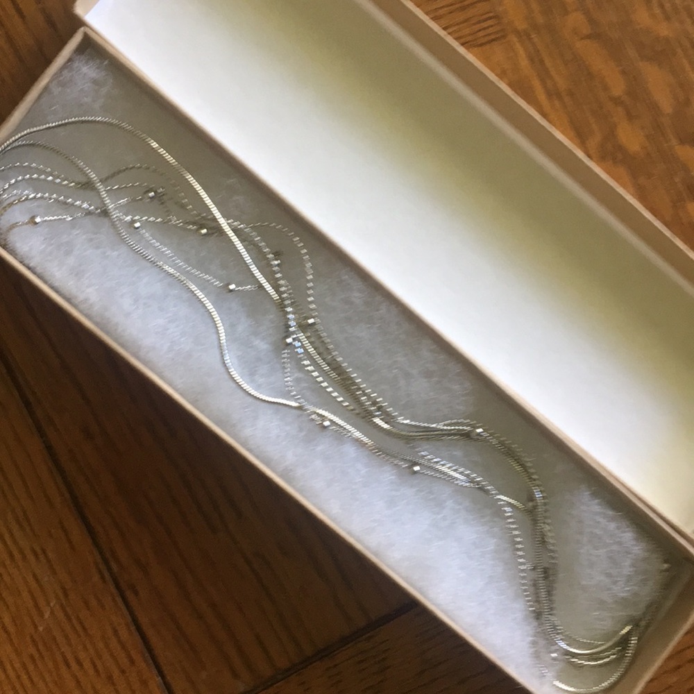 Brand New! Layered Silver Necklace